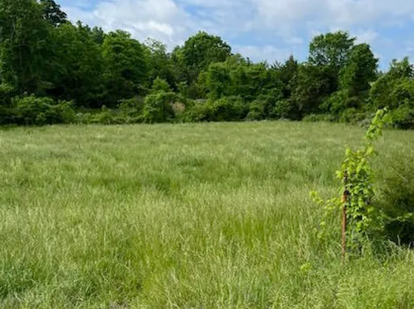 Blue Springs Pkwy, Mosheim, TN 37818