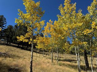 2046 Bellows Rd, Hartsel, CO 80449