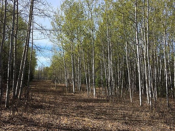 2nd image of L3 Leng Rd