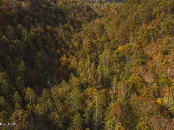 0 Livesay Chapel Rd, Kyles Ford, TN 37765