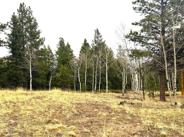 001 Russell Gulch Road, Central City, CO 80427