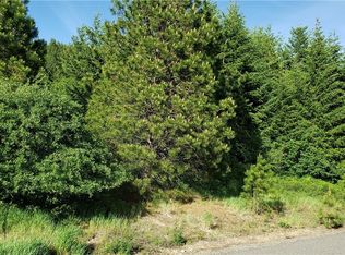 81 Tiger Lily Ln, Ronald, WA 98940