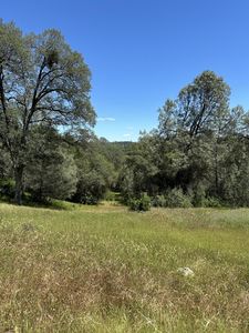 12787 Country Heights Dr, Penn Valley, CA, 95946