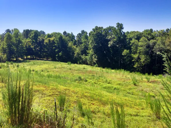 1525 Harmony Dr, Canton, GA 30115