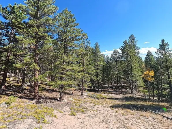 12680 Highway 7, Allenspark, CO 80510