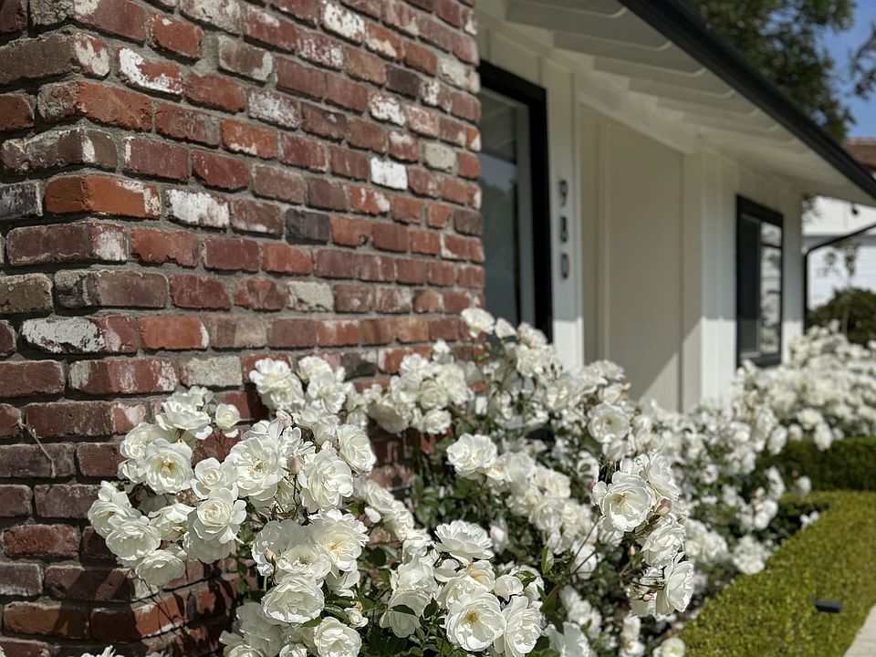 Front Walkway