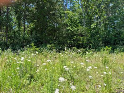 Lot 140 Farm Road 1255, Shell Knob, MO, 65747