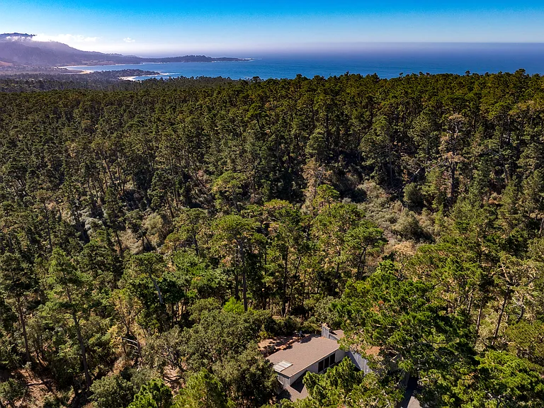 4120 Pine Meadows Way — Photo 44