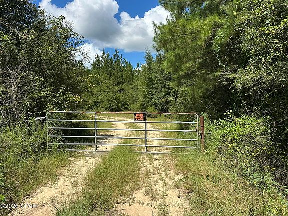 2nd image of TRACT 6418 Mattox Springs Rd