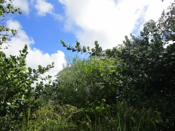 12th Ave Lot 617, Keaau, HI 96749