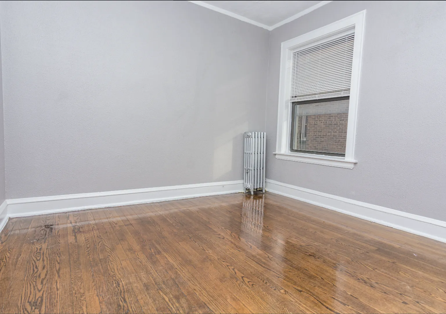 1649 W 83rd St. (NEWEST) — Photo 2