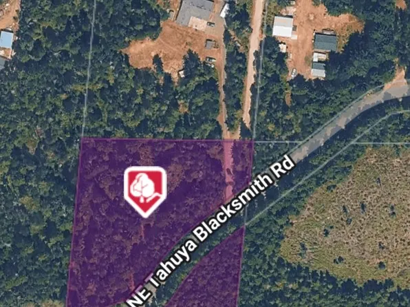 3511 NE Tahuya Blacksmith Rd, Tahuya, WA 98588