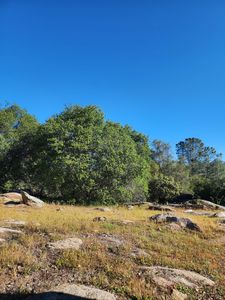 0 Rocky Ridge Rd, Coarsegold, CA, 93614