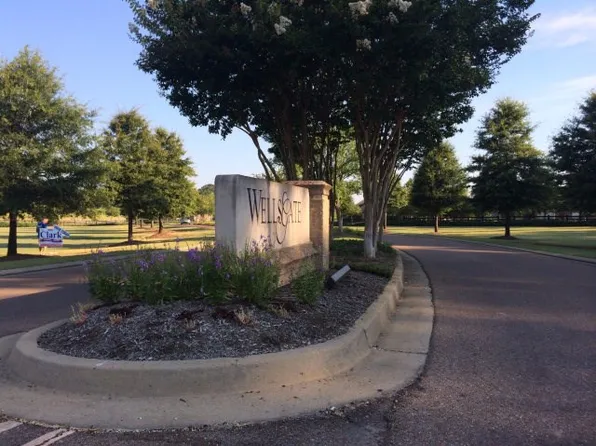 1145 E Wellsgate Dr, Oxford, MS 38655