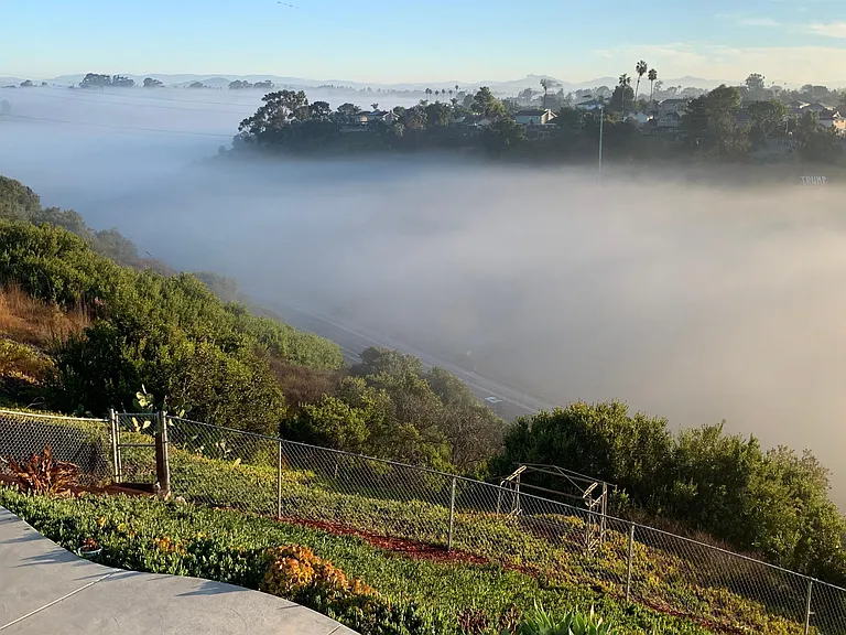 Backyard in the morning