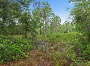 Oil Well Rd, Clermont, FL 34714