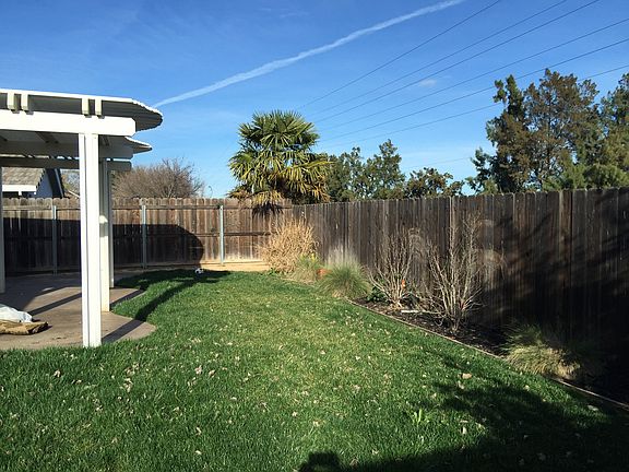 back yard