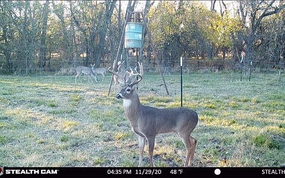 2nd image of 7460 County Road 1048