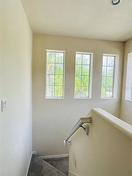 2939 Willowleaf Ln — Photo 11