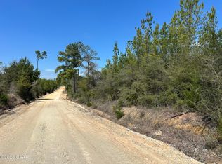TRACT Mattox Springs Rd N #2, Caryville, FL 32427