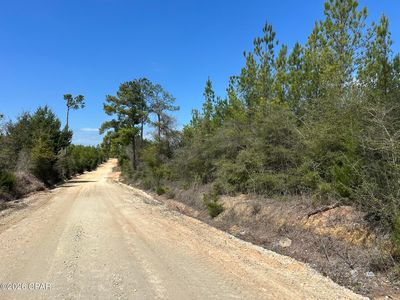 TRACT Mattox Springs Rd N #2, Caryville, FL, 32427
