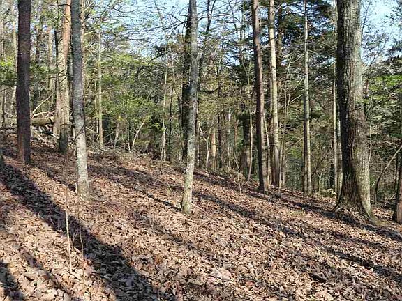 4th image of 0 Oak Tree Dr Lot 408