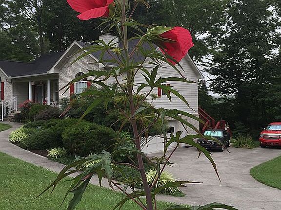 4th image of 7528 Christin Lee Cir