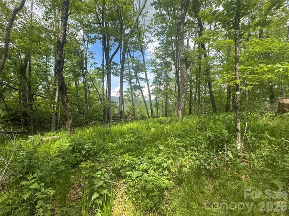 1026 Wolfs Head Ct, Mars Hill, NC 28754