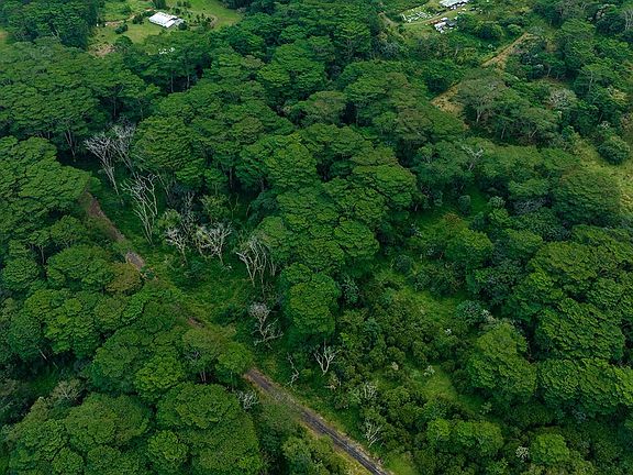 4th image of LOT 26 A Rd