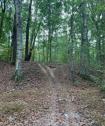 4th image of 573 Hickory Wood Dr