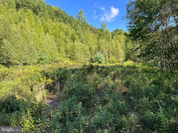 0 Lower Mountain Dr, Effort, PA 18330