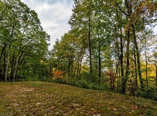 58 Buddy Boy Ln #75A, Qualla, NC 28719