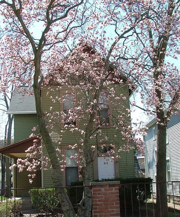 1st image of 63 W Northwood Ave