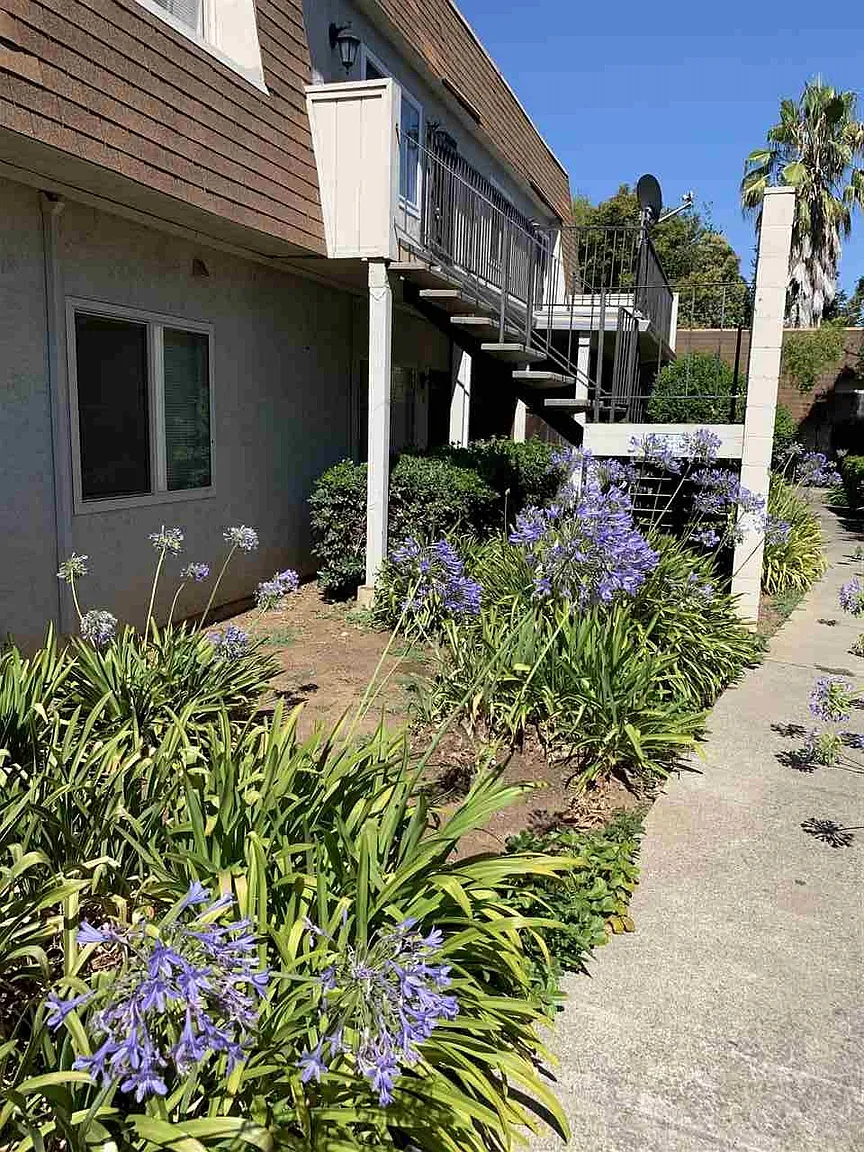 3641 Clayton Rd APT 8 photo 1