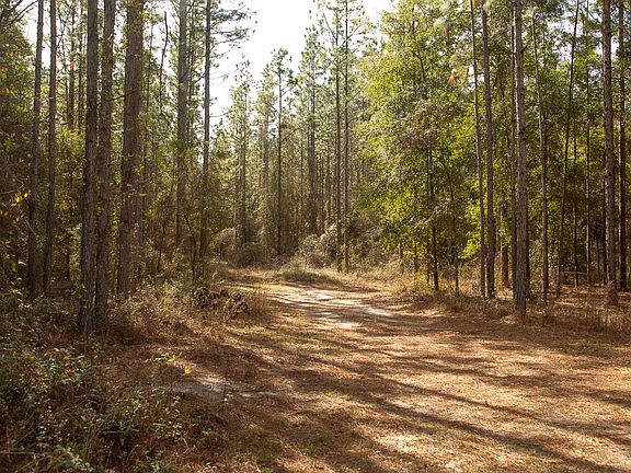 5th image of 9211 County Road 136