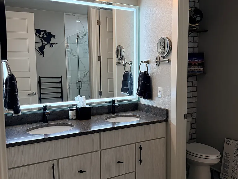 Master Bathroom Sinks