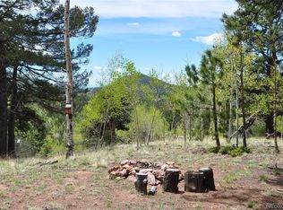 49 Princess Way, Cripple Creek, CO 80813