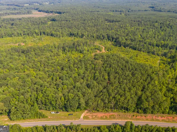 TRACT 3 State Highway 36, Waverly Hall, GA 31831