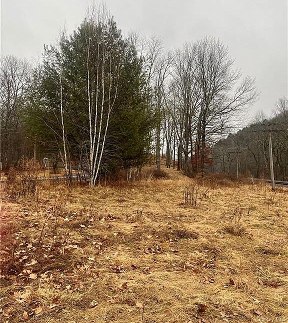 Tr40, Long Eddy, NY 12760 MLS H6291190 Zillow