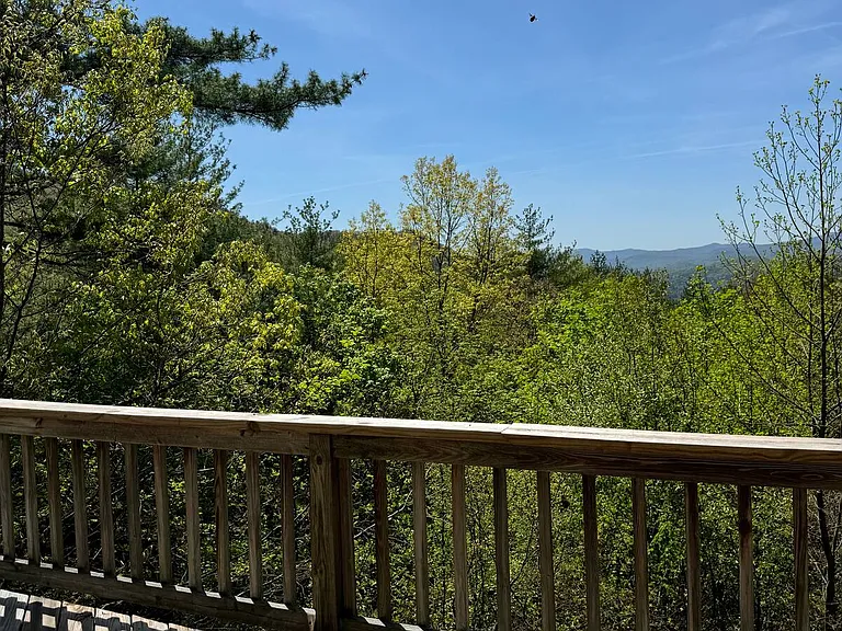 124 Auburn Hill Dr — Photo 15