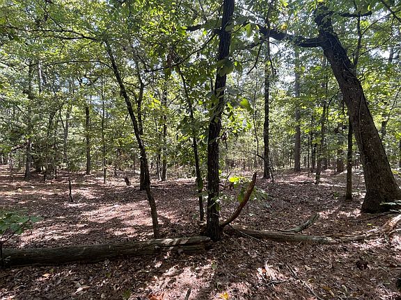 4th image of 985 Whispering Pines Loop