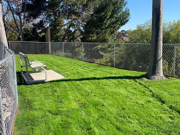 Off Leash Dog Park