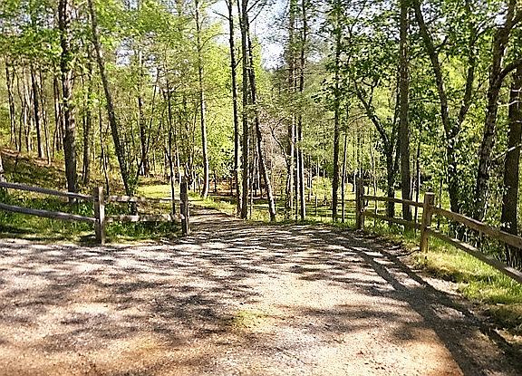 3rd image of LOT 16 Brasstown