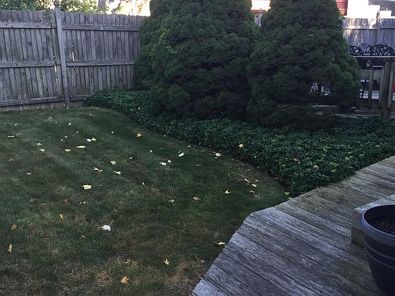 5th image of 312 Tysens Ln