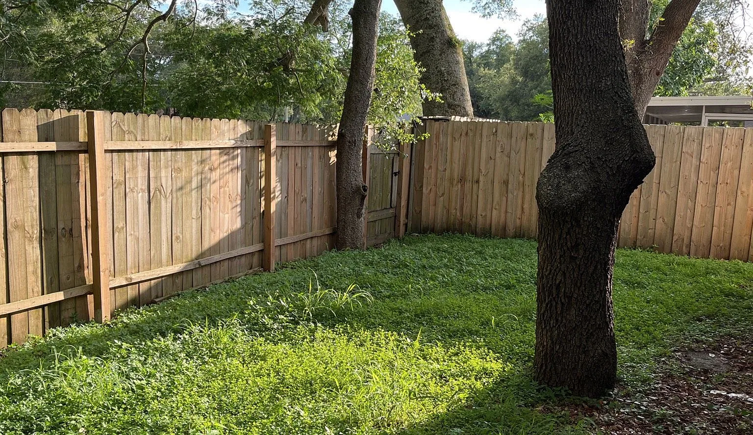 Newly Remodeled 3-Bedroom, 2-bathroom with garage for rent Near Busch Gardens & USF! — Photo 4