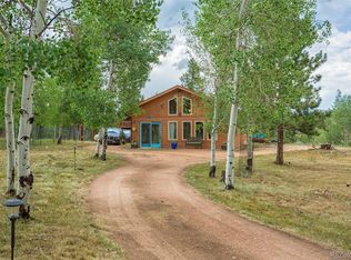 135 Louis Rd, Bailey, CO 80421