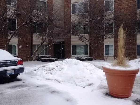 140 W Wood St Unit 411, Palatine, IL 60067