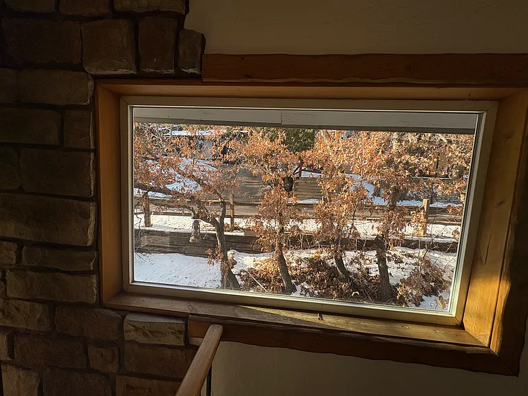 Shady Ln — Photo 24