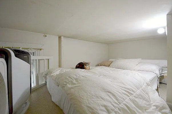 Rented by Bold New York | media 21