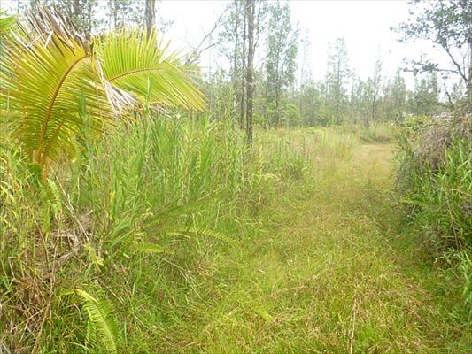 5th image of 16-2156 Opeapea Rd Lot 4661